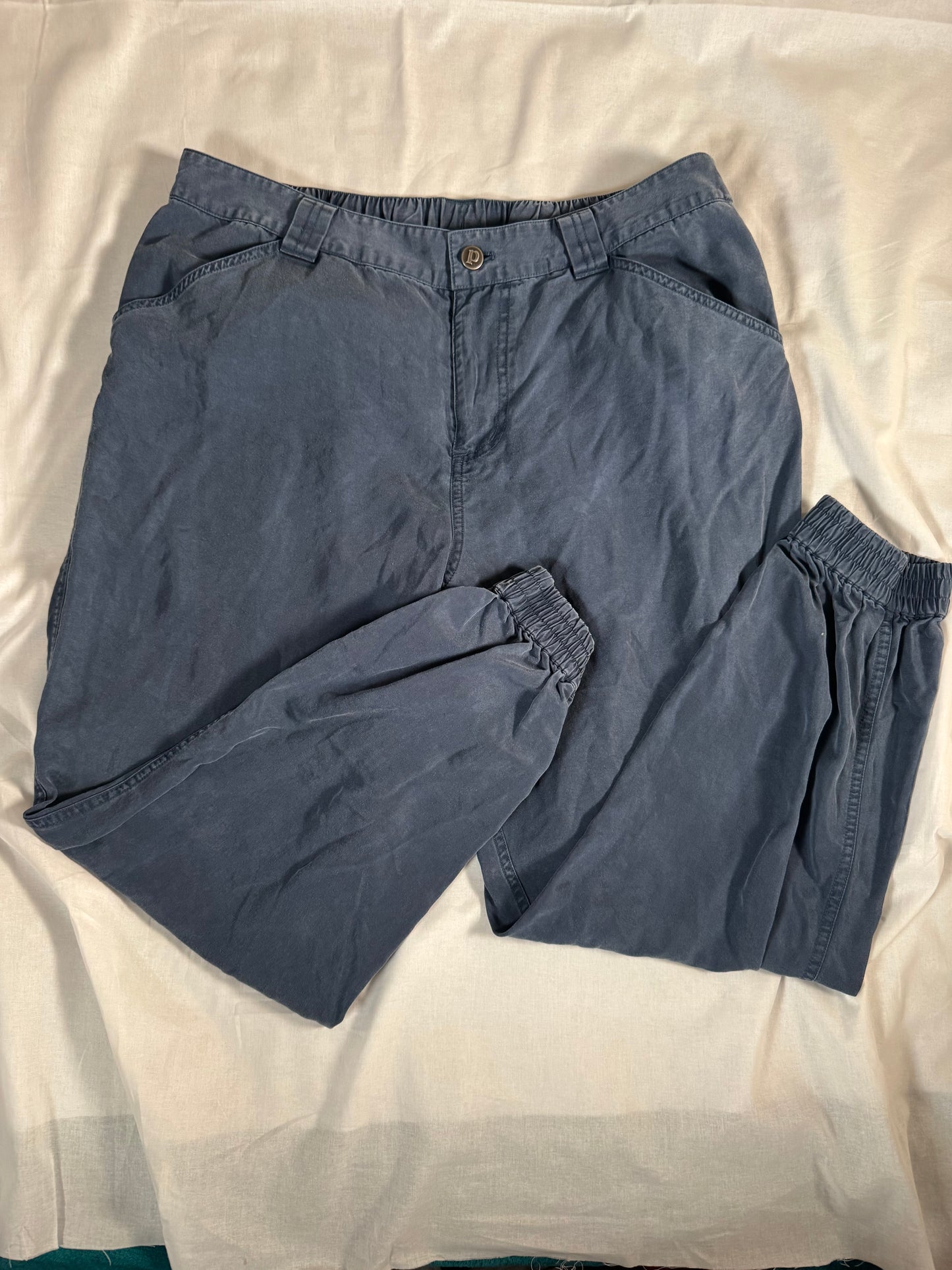 Patagonia Women's Edge Win Joggers